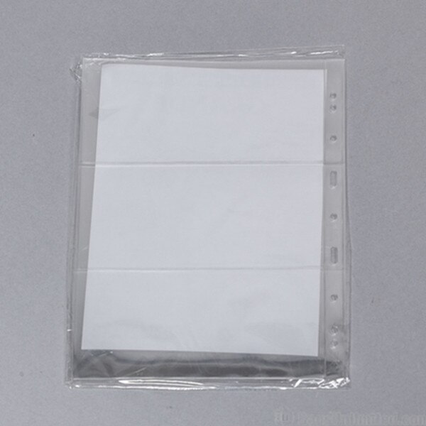 Large Currency Binder Page - 3 Hori